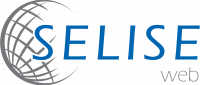 SELISE web logo color